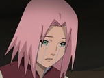 Naruto Shippuden