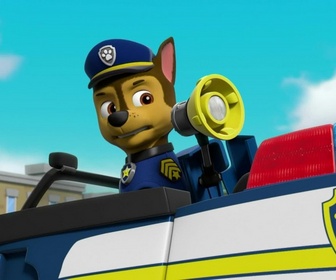 Paw Patrol, la Pat'Patrouille - La Pat'Patrouille et les écureuils