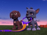 Paw Patrol, la Pat'Patrouille Paw Patrol, la Pat'Patrouille