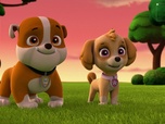 Paw Patrol, la Pat'Patrouille Paw Patrol, la Pat'Patrouille