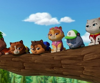 Paw Patrol, la Pat'Patrouille - Mission Pompiers : Les guim-o-choco de M. Hellinger