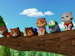 Paw Patrol, la Pat'Patrouille