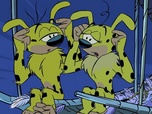 Le Marsupilami Le Marsupilami