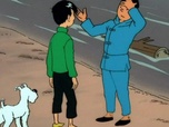 Les aventures de tintin