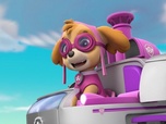 Paw Patrol, la Pat'Patrouille Paw Patrol, la Pat'Patrouille