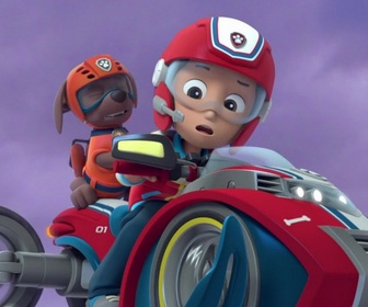 Paw Patrol, la Pat'Patrouille - La Pat'Patrouille et les jumeaux