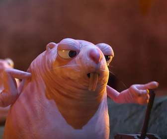 Les as de la jungle à la rescousse - 25/04/2026