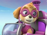 Paw Patrol, la Pat'Patrouille Paw Patrol, la Pat'Patrouille