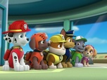 Paw Patrol, la Pat'Patrouille Paw Patrol, la Pat'Patrouille