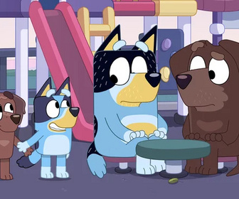 Bluey - 01/07/2026