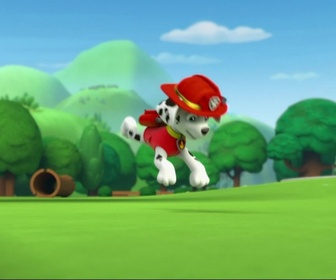Paw Patrol, la Pat'Patrouille - Le tricycle