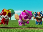 Paw Patrol, la Pat'Patrouille Paw Patrol, la Pat'Patrouille