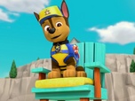 Paw Patrol, la Pat'Patrouille