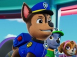 Paw Patrol, la Pat'Patrouille