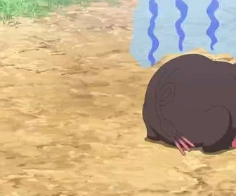 Pokémon : les horizons - Mission : trouver le partenaire de Fragroin