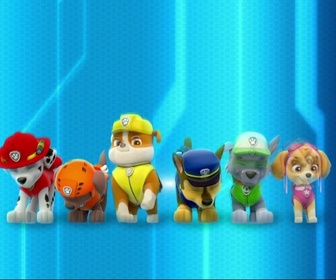 Paw Patrol, la Pat'Patrouille - La Pat'Patrouille sauve un super-chien