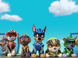 Paw Patrol, la Pat'Patrouille