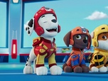 Paw Patrol, la Pat'Patrouille Paw Patrol, la Pat'Patrouille
