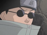 Naruto Naruto