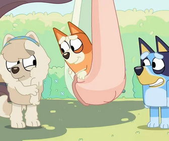 Bluey - 22/04/2026