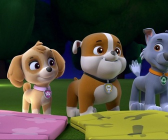 Paw Patrol, la Pat'Patrouille - La lumière du phare