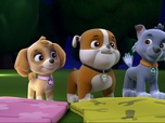Paw Patrol, la Pat'Patrouille Paw Patrol, la Pat'Patrouille