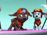 Paw Patrol, la Pat'Patrouille