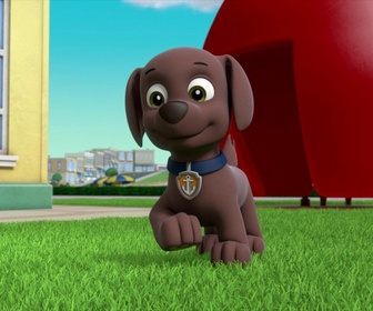 Paw Patrol, la Pat'Patrouille - Madame Goodmoustache