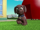 Paw Patrol, la Pat'Patrouille