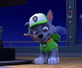 Paw Patrol, la Pat'Patrouille - La soirée cinéma
