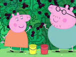 Peppa Peppa