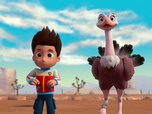 Paw Patrol, la Pat'Patrouille