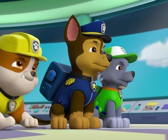 Paw Patrol, la Pat'Patrouille - Le jour des élections