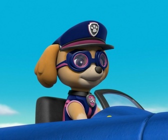 Paw Patrol, la Pat'Patrouille - S06 E47 - Sauvetage Extrême : Les championnats de la Grande Vallée