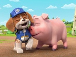 Ruben & CIE