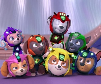 Paw Patrol, la Pat'Patrouille - L'Aqua Patrouille : Le vol de la Baleine Patrouilleuse