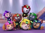 Paw Patrol, la Pat'Patrouille