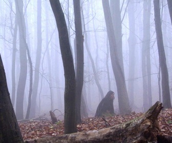 Robin des bois - S3 E10 - Faux frère