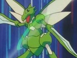 Pokémon Pokémon