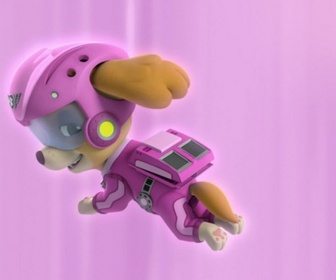 Paw Patrol, la Pat'Patrouille - Le macaque albinos