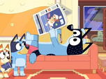 Bluey