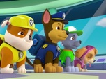 Paw Patrol, la Pat'Patrouille