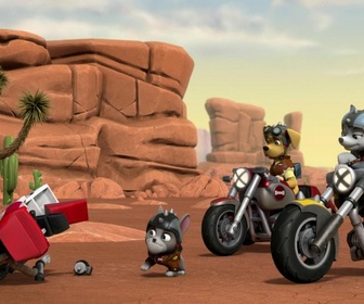 Paw Patrol, la Pat'Patrouille - La Moto Patrouille : La meute des chiens sauvages