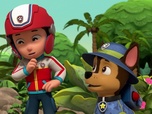 Paw Patrol, la Pat'Patrouille