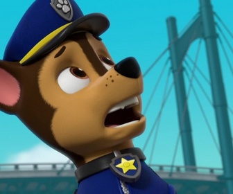 S00 E47 - Compilation Paw Patrol, la Pat'Patrouille 47