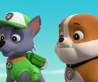 Paw Patrol, la Pat'Patrouille - Un chaton dans la Pat'Patrouille