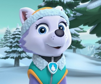 Paw Patrol, la Pat'Patrouille - S05 E21 - Une balade en raquettes