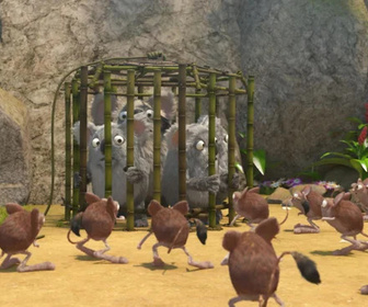 Les as de la jungle à la rescousse - 08/02/2026