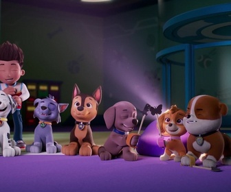 Paw Patrol, la Pat'Patrouille - Le phare de l'île des Phoques