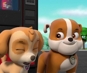 Paw Patrol, la Pat'Patrouille - Mission camion : La Grande Vallée en danger
